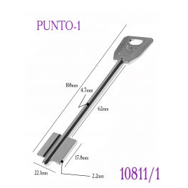 PUNTO-1
