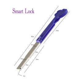 Smart Lock