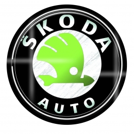 Логотип Scoda-Шкода цв