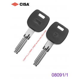 C24LP113_X_CS62P_CS62P кв.спец.пласт.(EU) CISA